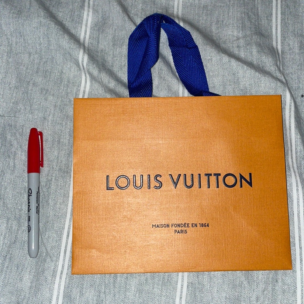 Empty Louis Vuitton gift bag